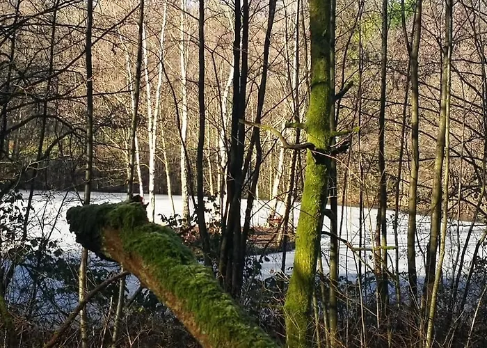 Entierement Renove - Vue Plaine De Jeux Σπίτι διακοπών *