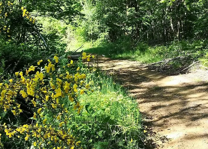 Σπίτι διακοπών Entierement Renove - Vue Plaine De Jeux *