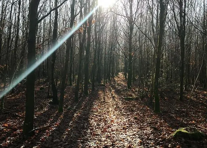 Entierement Renove - Vue Plaine De Jeux