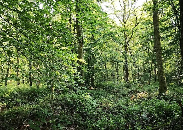 Entierement Renove - Vue Plaine De Jeux * Signy-le-Petit