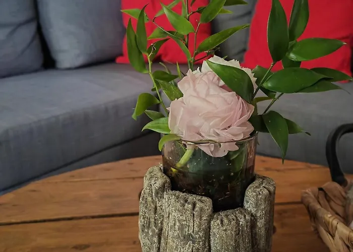 Entierement Renove - Vue Plaine De Jeux